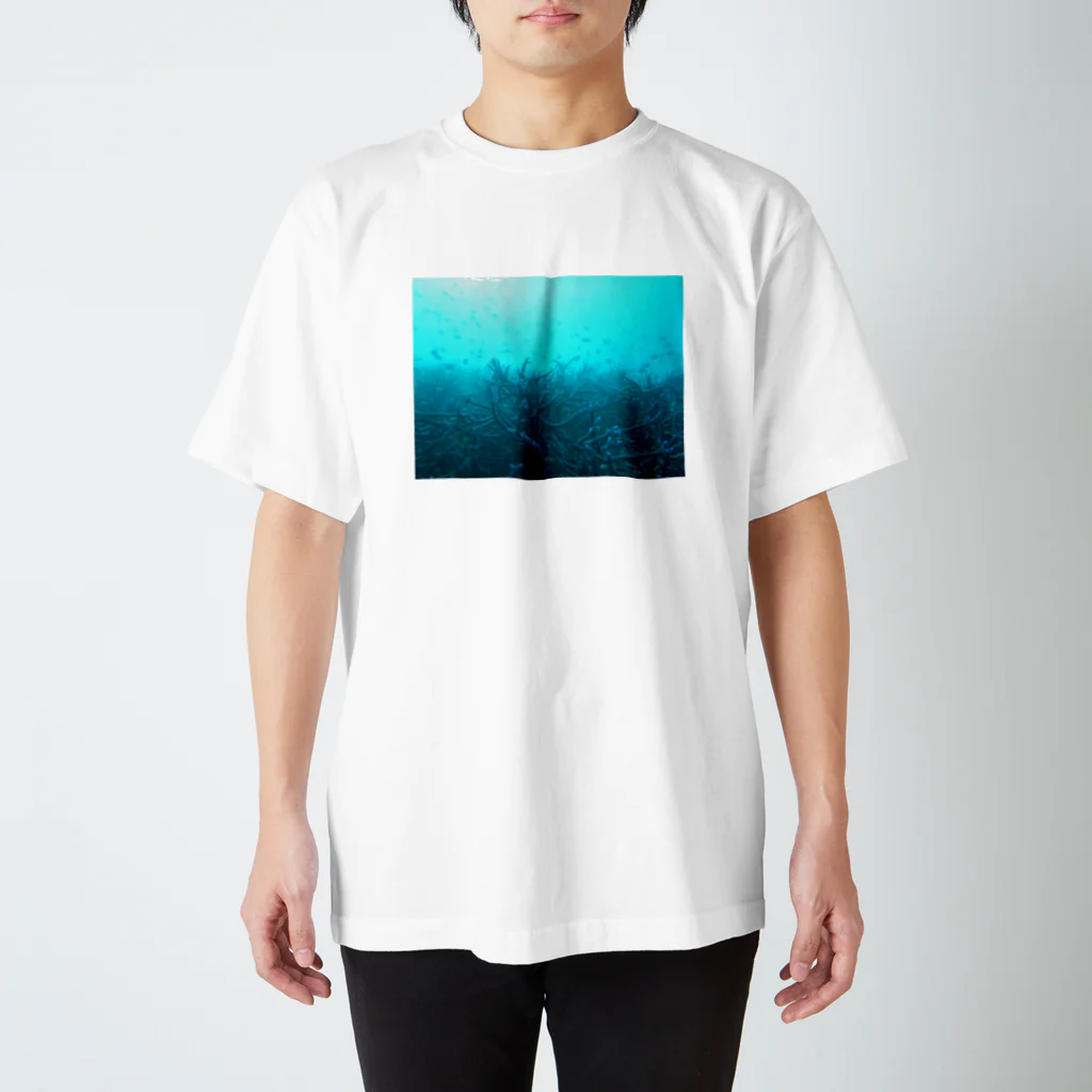 KOANANI GRAPHIC のFOREST スタンダードTシャツ