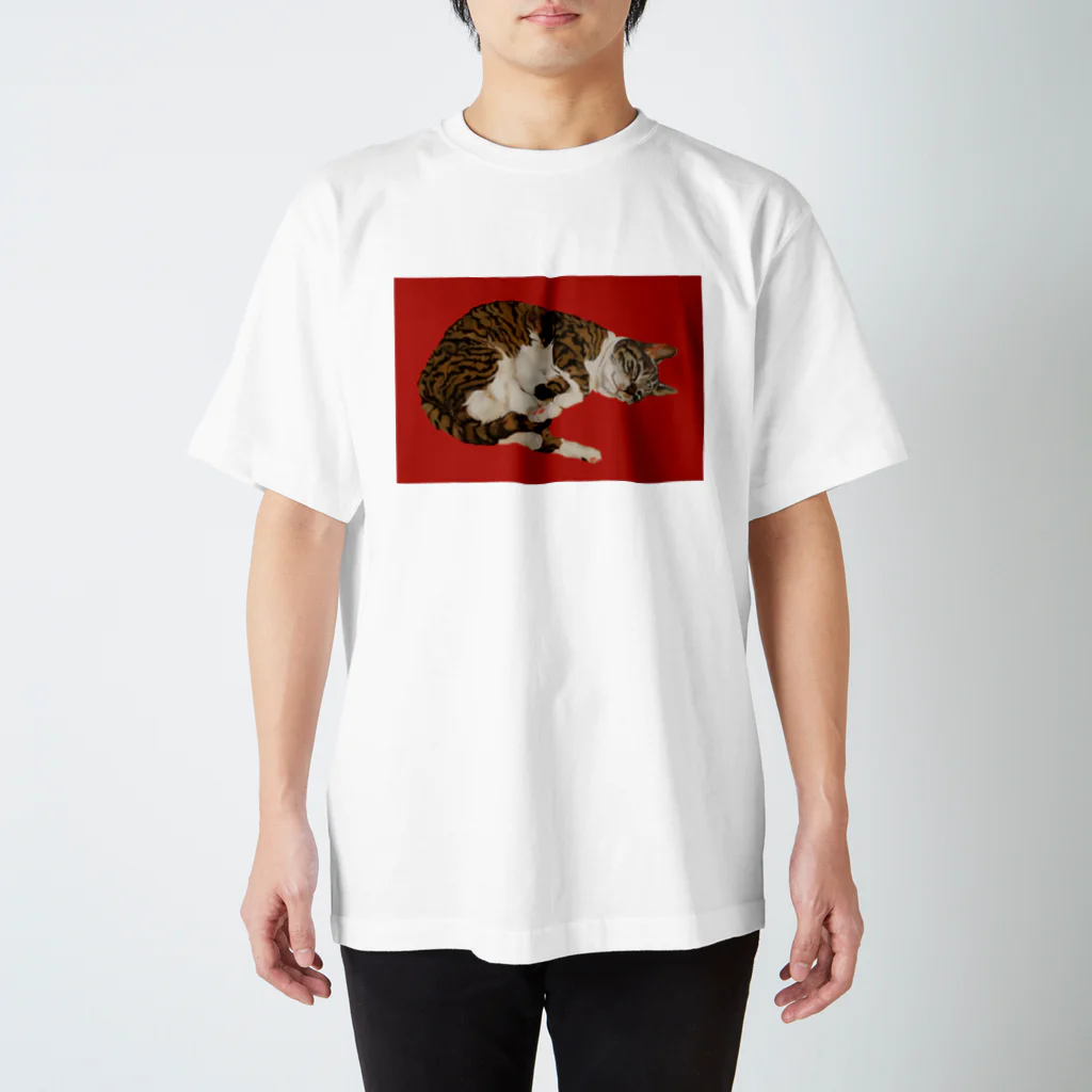 樽猫堂  安部円子の「ぐりこ２号」 Regular Fit T-Shirt