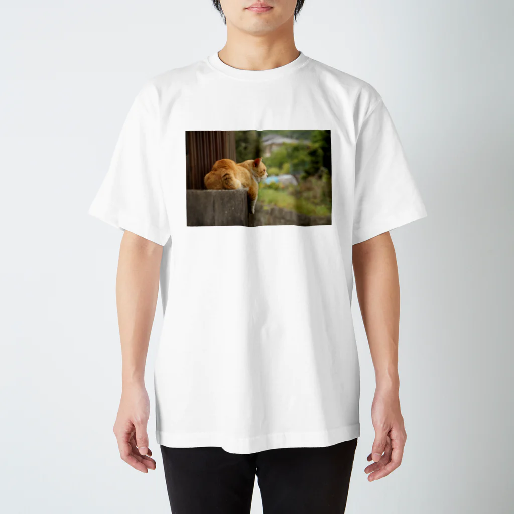 拓庵の夕涼み猫 ～黄昏～ スタンダードTシャツ