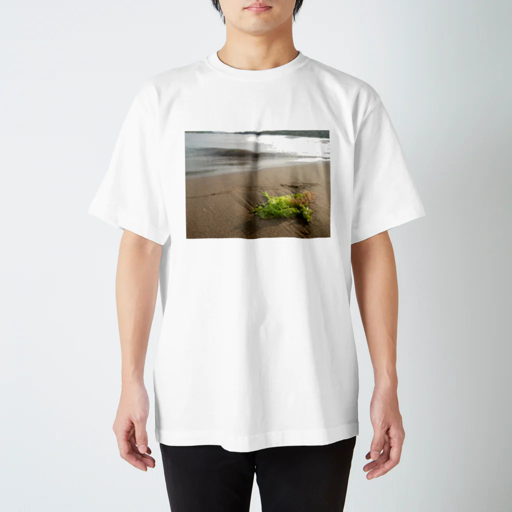 紫咲うにの浜辺に打ち上げられた海藻 Regular Fit T-Shirt