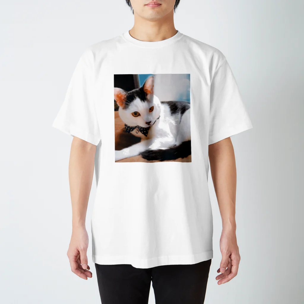 ニャンコさん🐈🐾のマロちゃんA スタンダードTシャツ