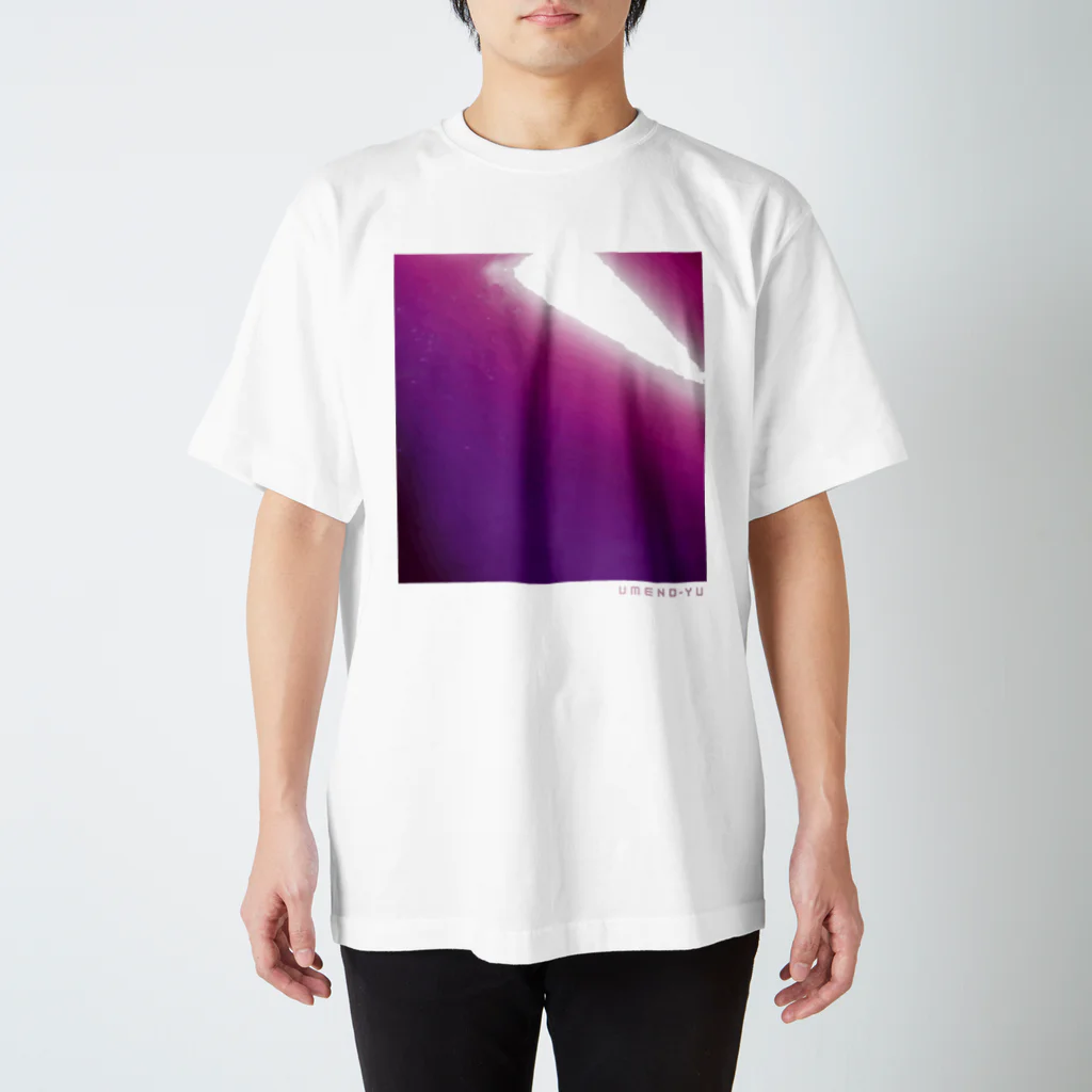 梅の湯｜荒川区の銭湯の薬湯（PINK) Regular Fit T-Shirt