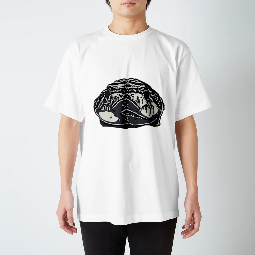 Tempura4444のWestern hognose snake スタンダードTシャツ