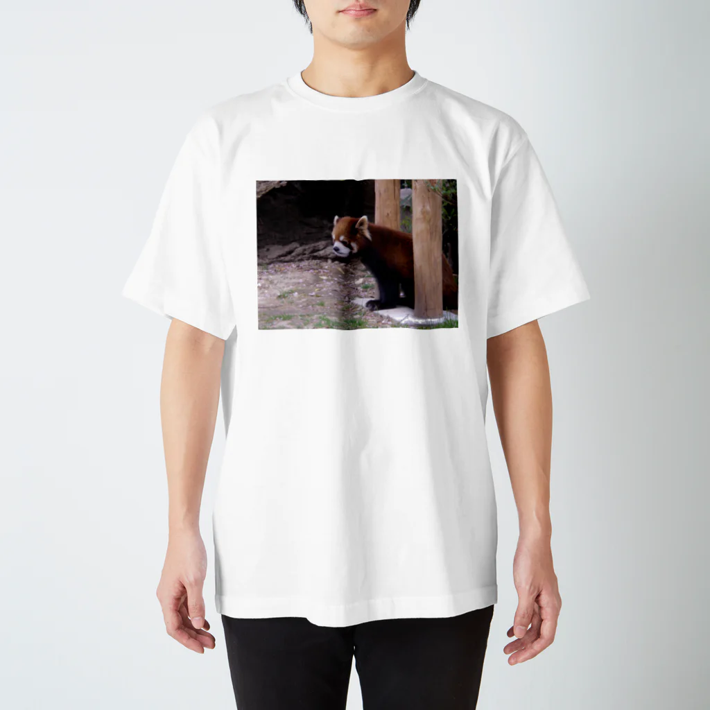 TシャツカンパニーのT-shirts for @p_chin スタンダードTシャツ