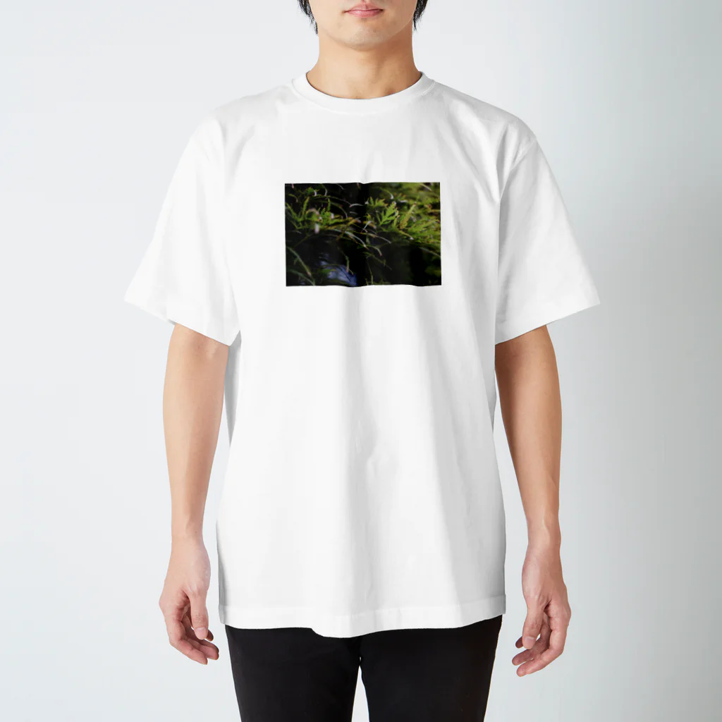 in your fragranceの草の匂い スタンダードTシャツ