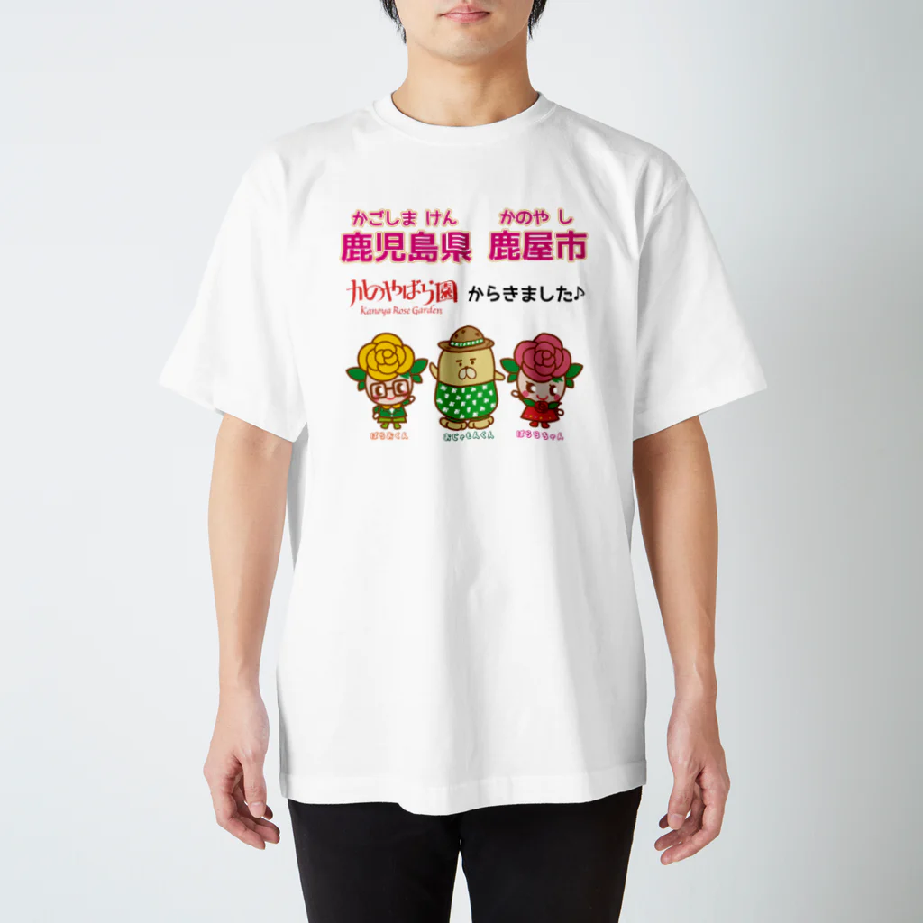 エツコロジーの鹿児島県鹿屋市からきました♪ スタンダードTシャツ