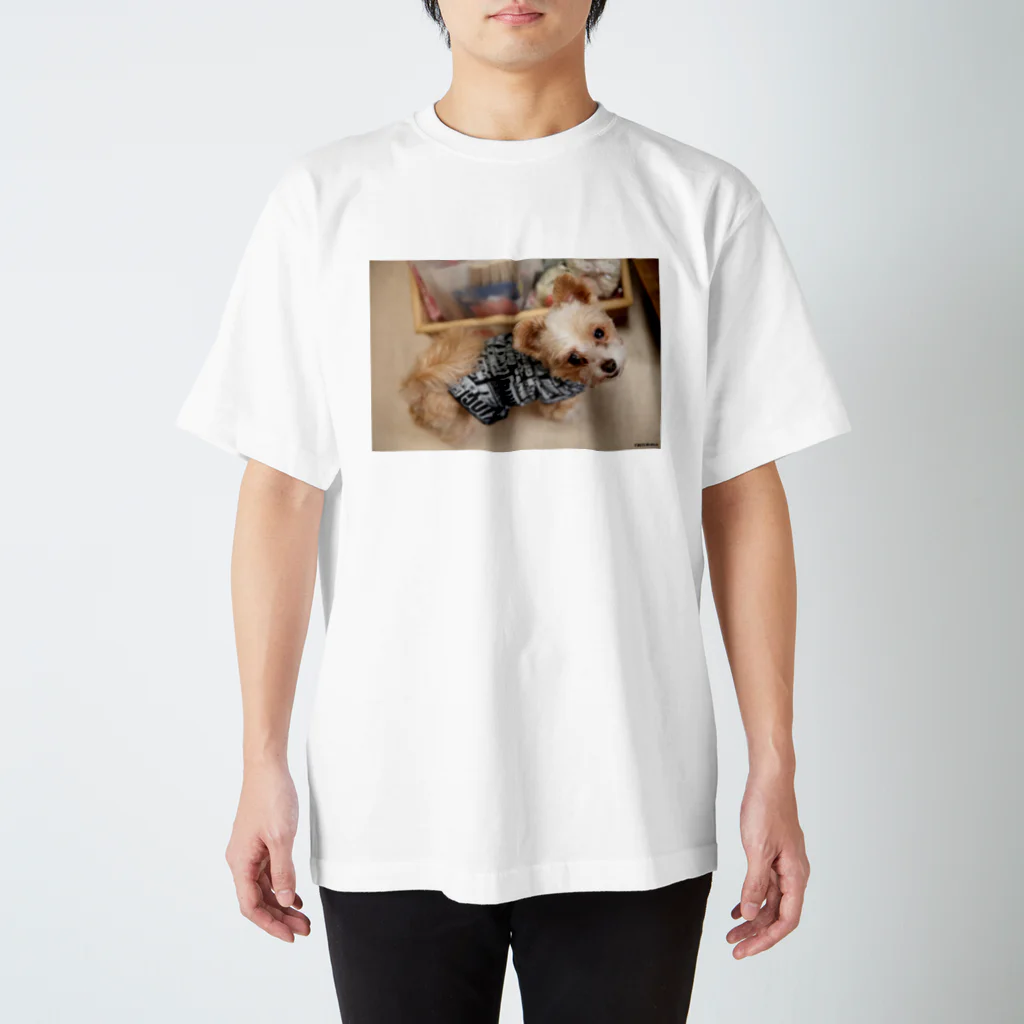 『ないしょ話*夢の森』の看板犬ラテ スタンダードTシャツ