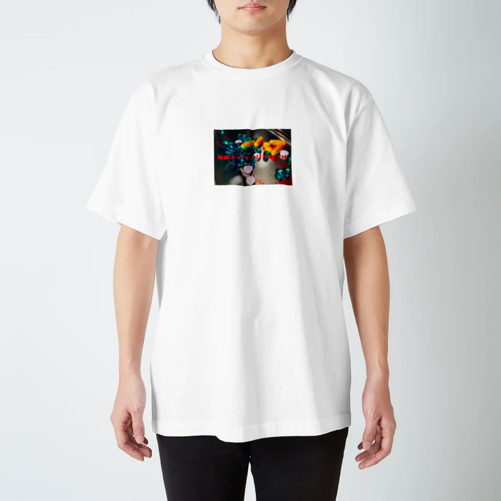 加藤亮の電脳チャイナパトロール Regular Fit T-Shirt