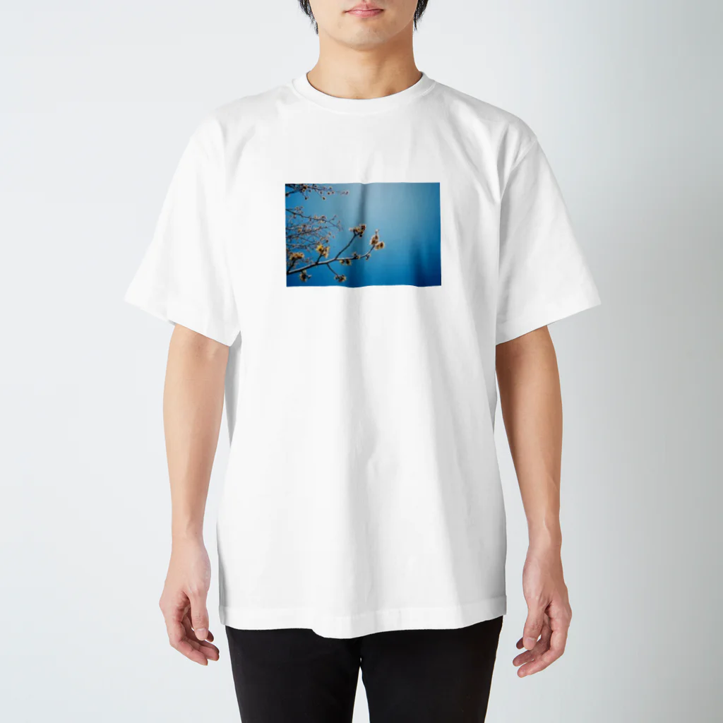 cozcozの春 見上げたら Regular Fit T-Shirt