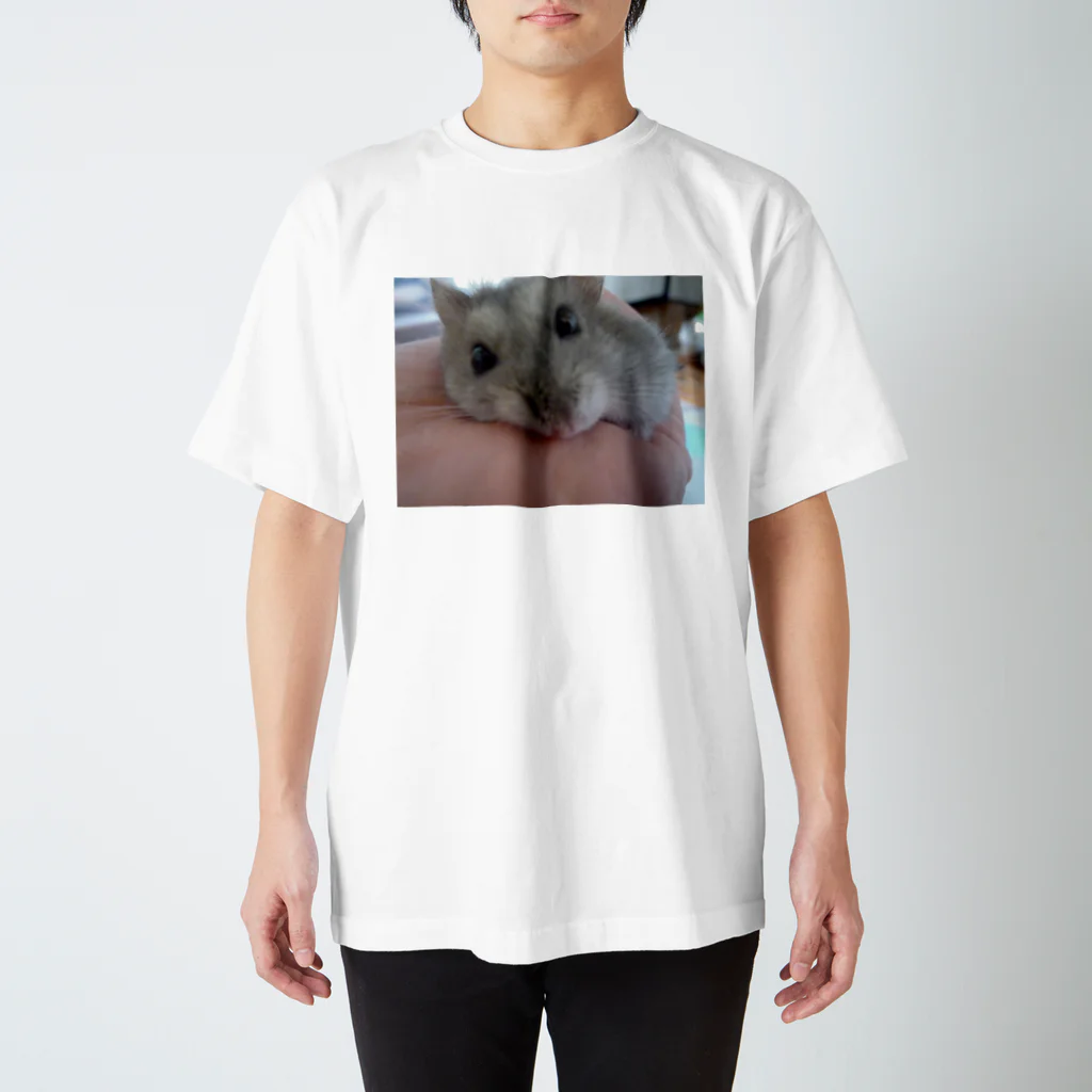 香川かえでの見つめるハム Regular Fit T-Shirt