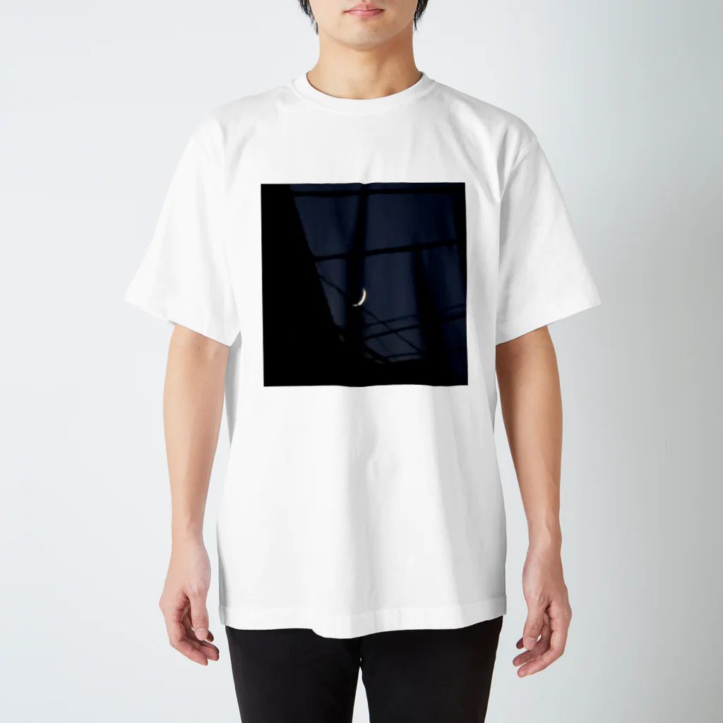 121_ailaのザラザラの月 Regular Fit T-Shirt