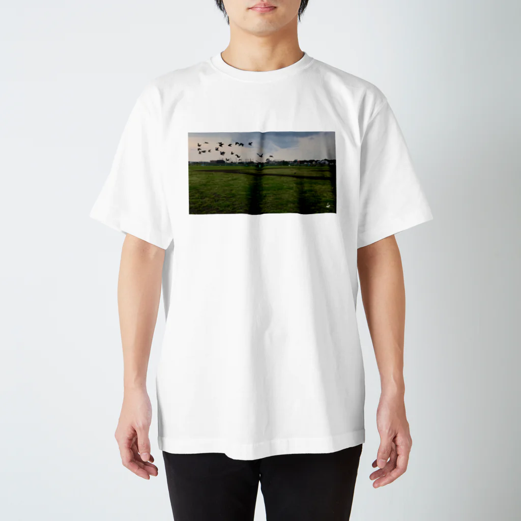 fDESIGNのfp_03_Photo スタンダードTシャツ