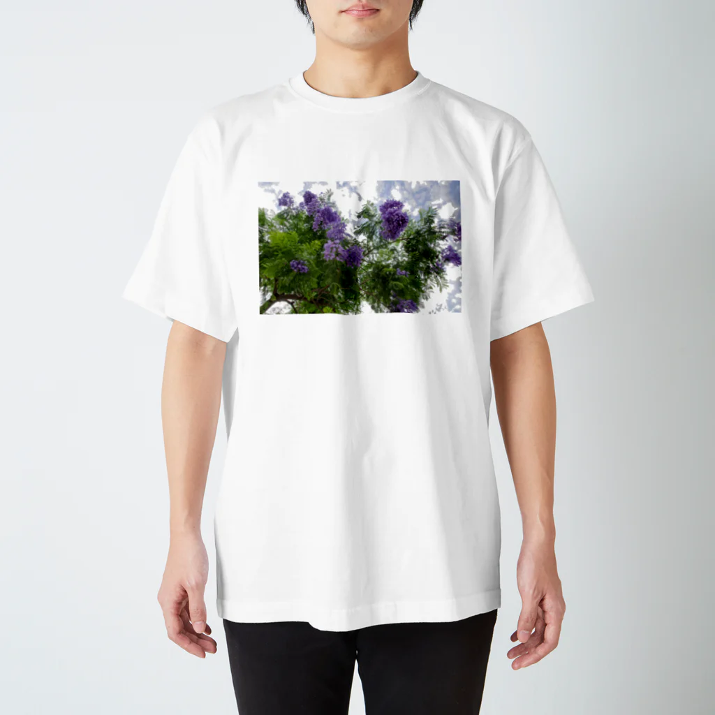 taka-nyanのジャカランダ Regular Fit T-Shirt