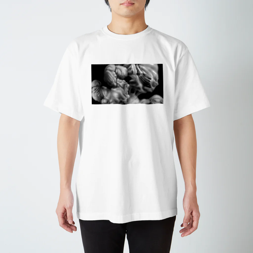 wahgrahfのBlur Collage 1 スタンダードTシャツ