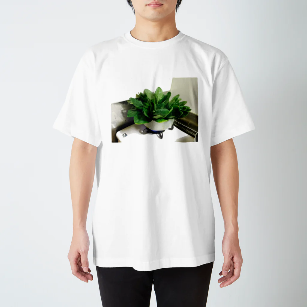 ざわっちの茹だるホウレンソウ スタンダードTシャツ