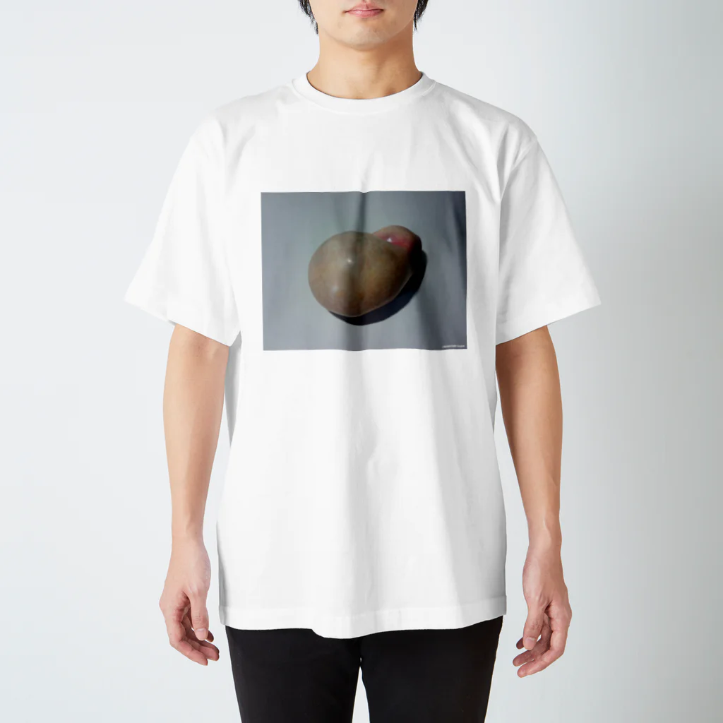 MAWATARI Ginjiroのスキンシップシリーズ Regular Fit T-Shirt