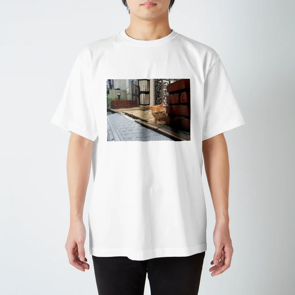 SENchanのSENchan スタンダードTシャツ