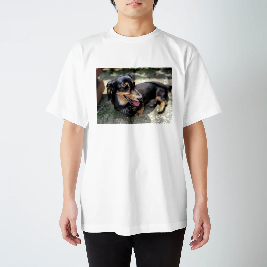 takummmmのりんちゃん Regular Fit T-Shirt