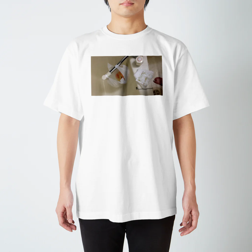 synsiloの桃 Regular Fit T-Shirt