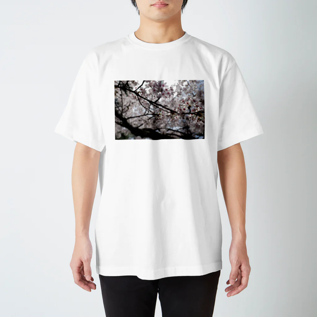 まるの晴天のさくら Regular Fit T-Shirt