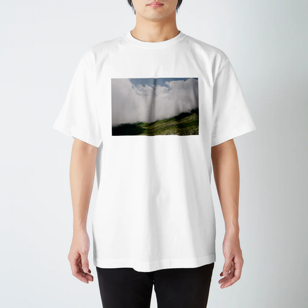 tayumosaの霧 Regular Fit T-Shirt