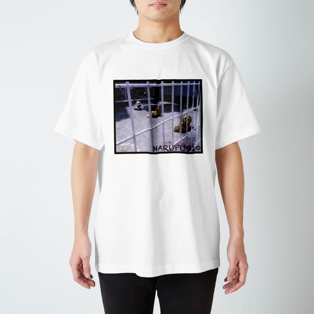 HARUPUN10の哀愁 スタンダードTシャツ