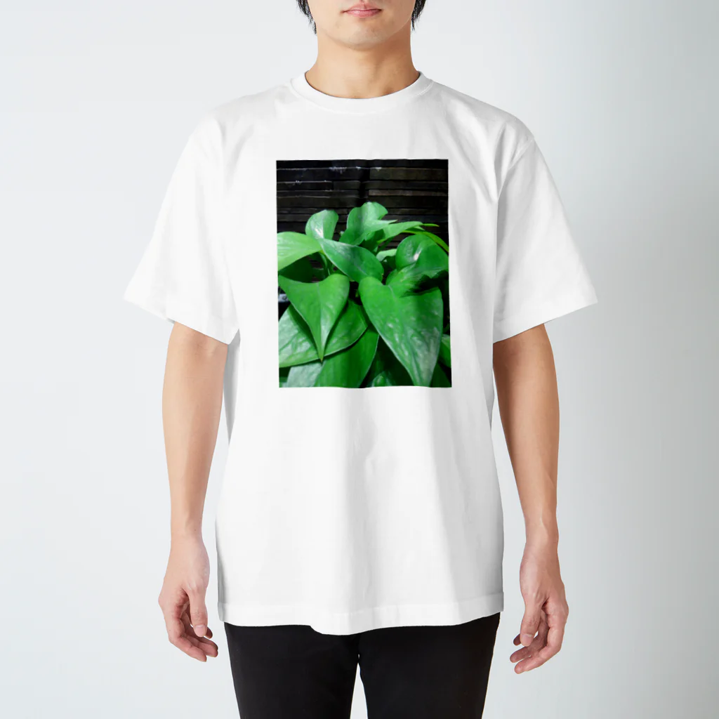 koasaichiのgreen Regular Fit T-Shirt