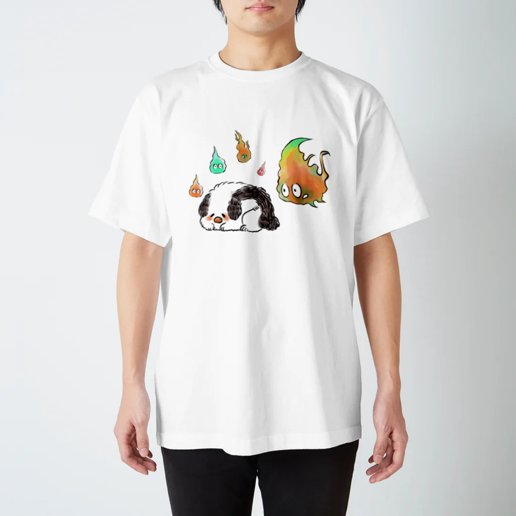 百±一のふわふわすねこすり スタンダードTシャツ