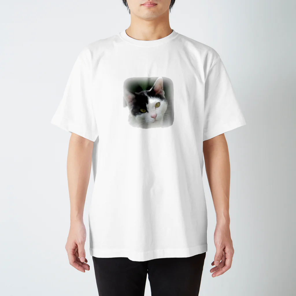 JikenShopのぶち猫「さつき」顔 スタンダードTシャツ