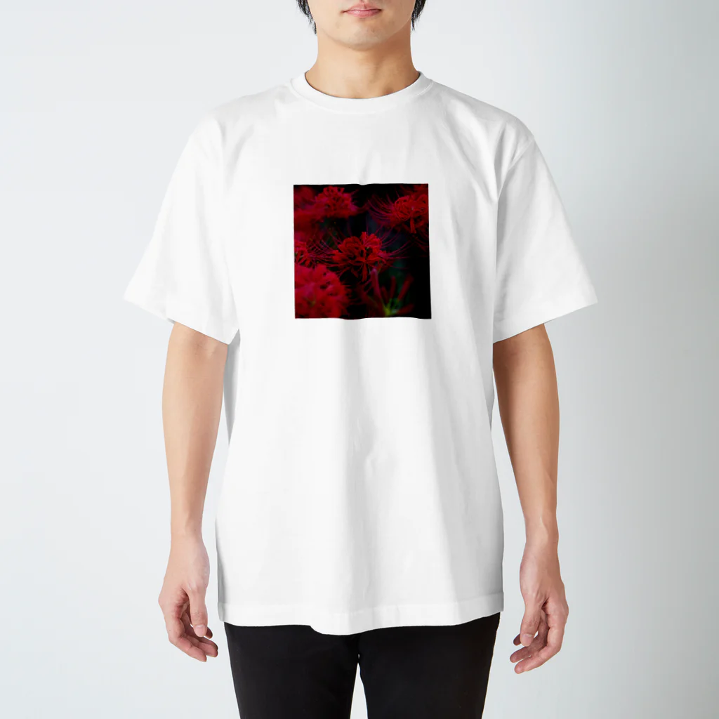 くさなぎ®︎🌧️のRed Spyder Lily shirt スタンダードTシャツ