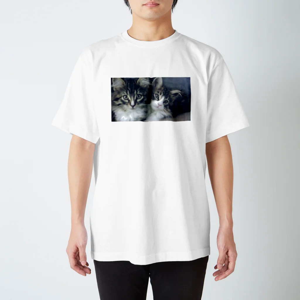 saechaの猫 Tシャツ スタンダードTシャツ