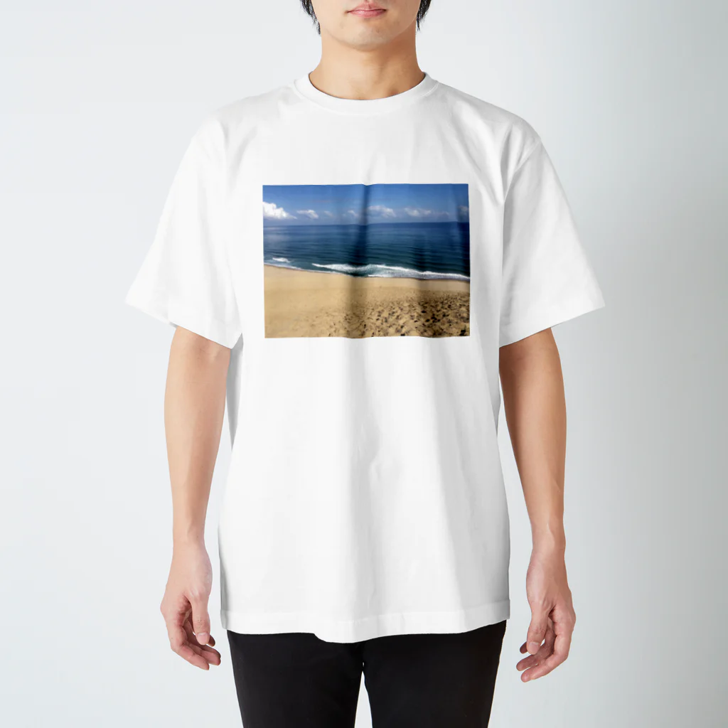 onの砂丘 Regular Fit T-Shirt