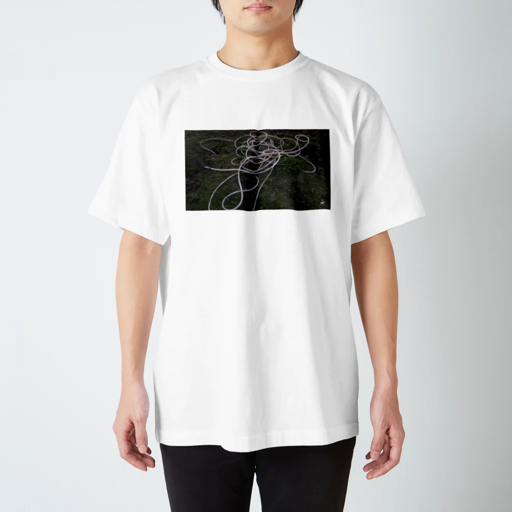 fDESIGNのfp_21_Photo スタンダードTシャツ