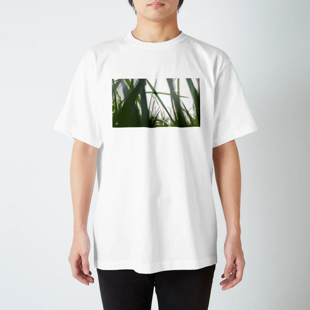 fDESIGNのfp_26_Photo スタンダードTシャツ