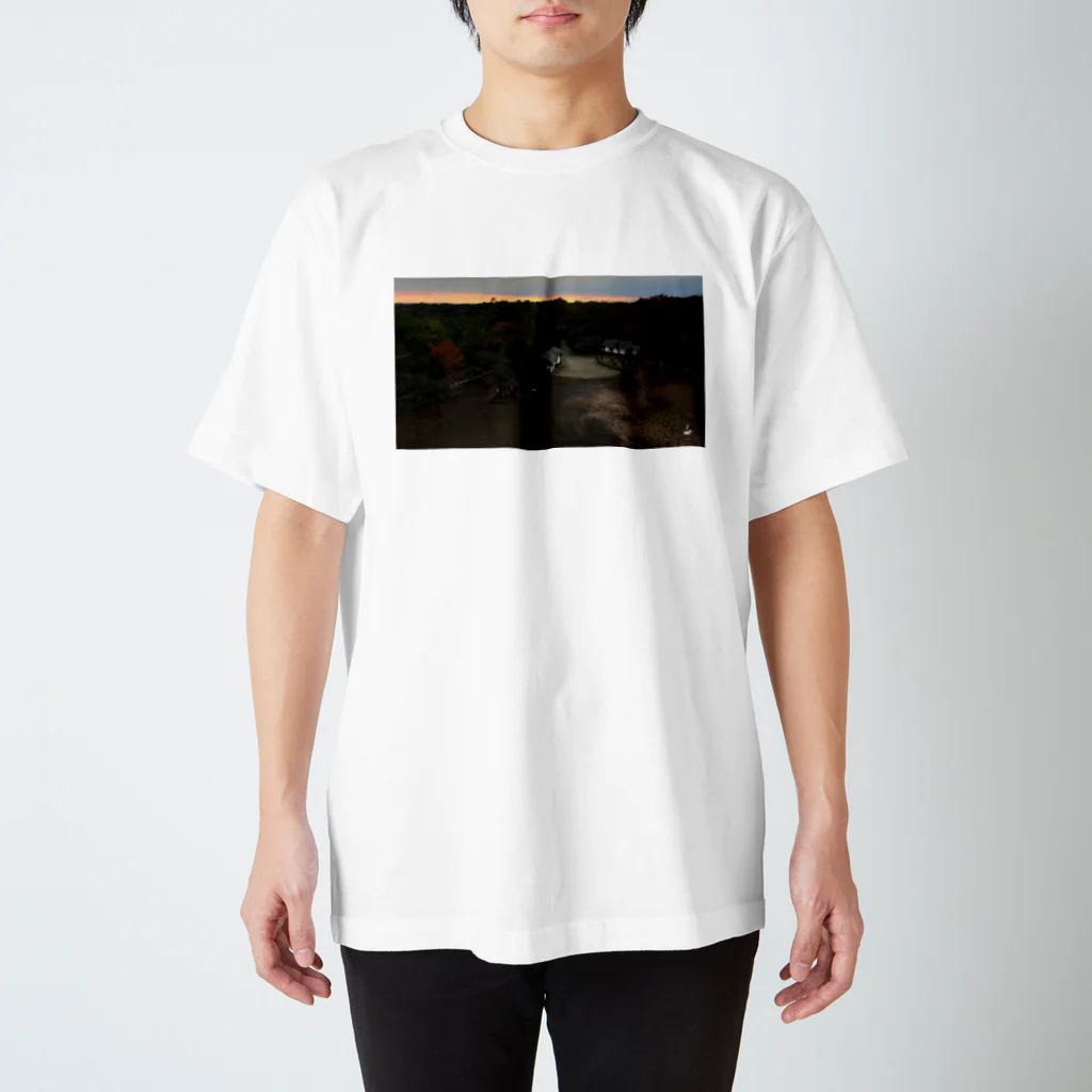 fDESIGNのfp_32_Photo スタンダードTシャツ