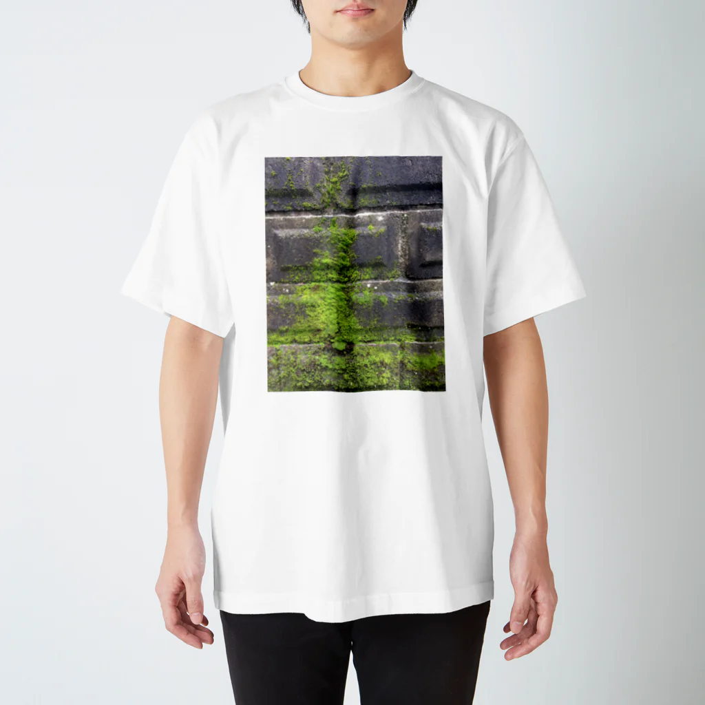 余剰次元の正体不明系ブロック壁面苔のフォトTシャツ Regular Fit T-Shirt