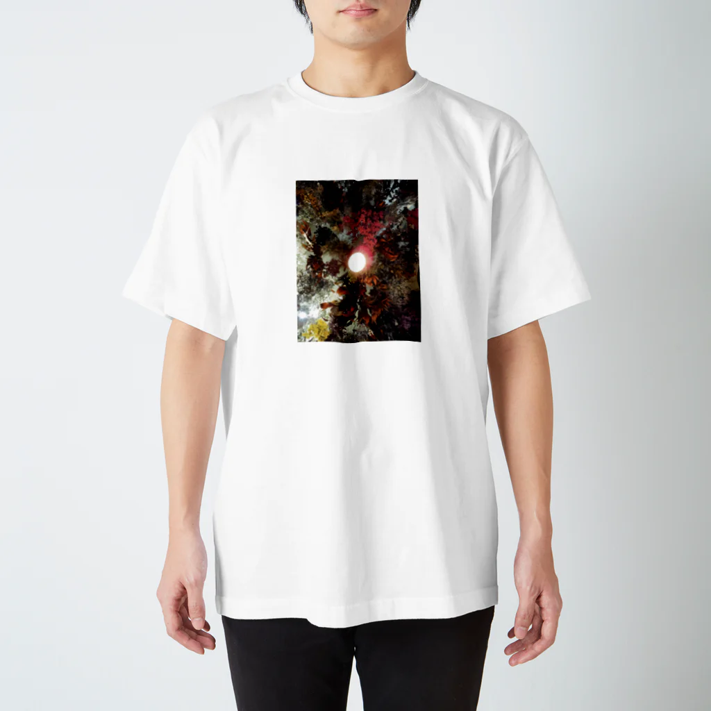 xxxsuzuの真下からのお花畑 スタンダードTシャツ