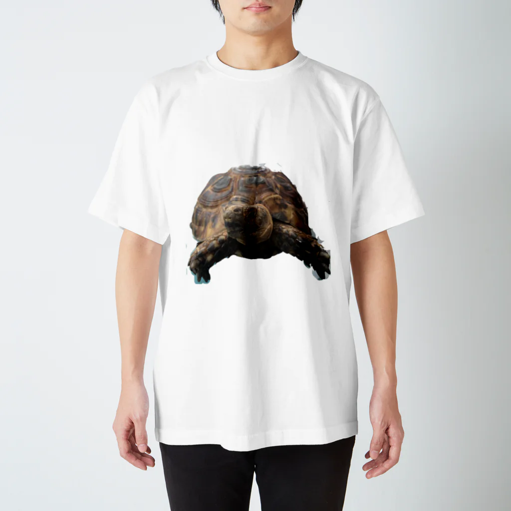 molaのモーラ 2 Regular Fit T-Shirt