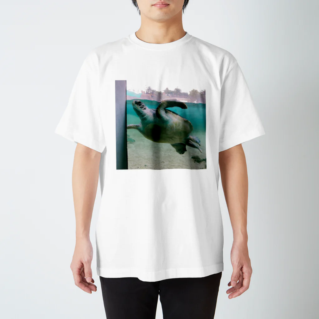 Honoyの八景島のカメ スタンダードTシャツ