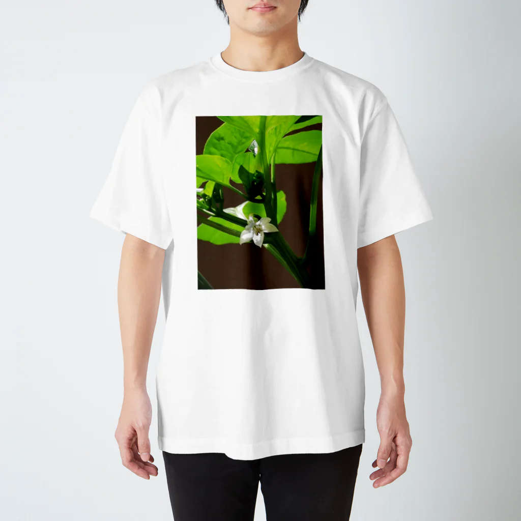 mikado03のピーマンの花 Regular Fit T-Shirt