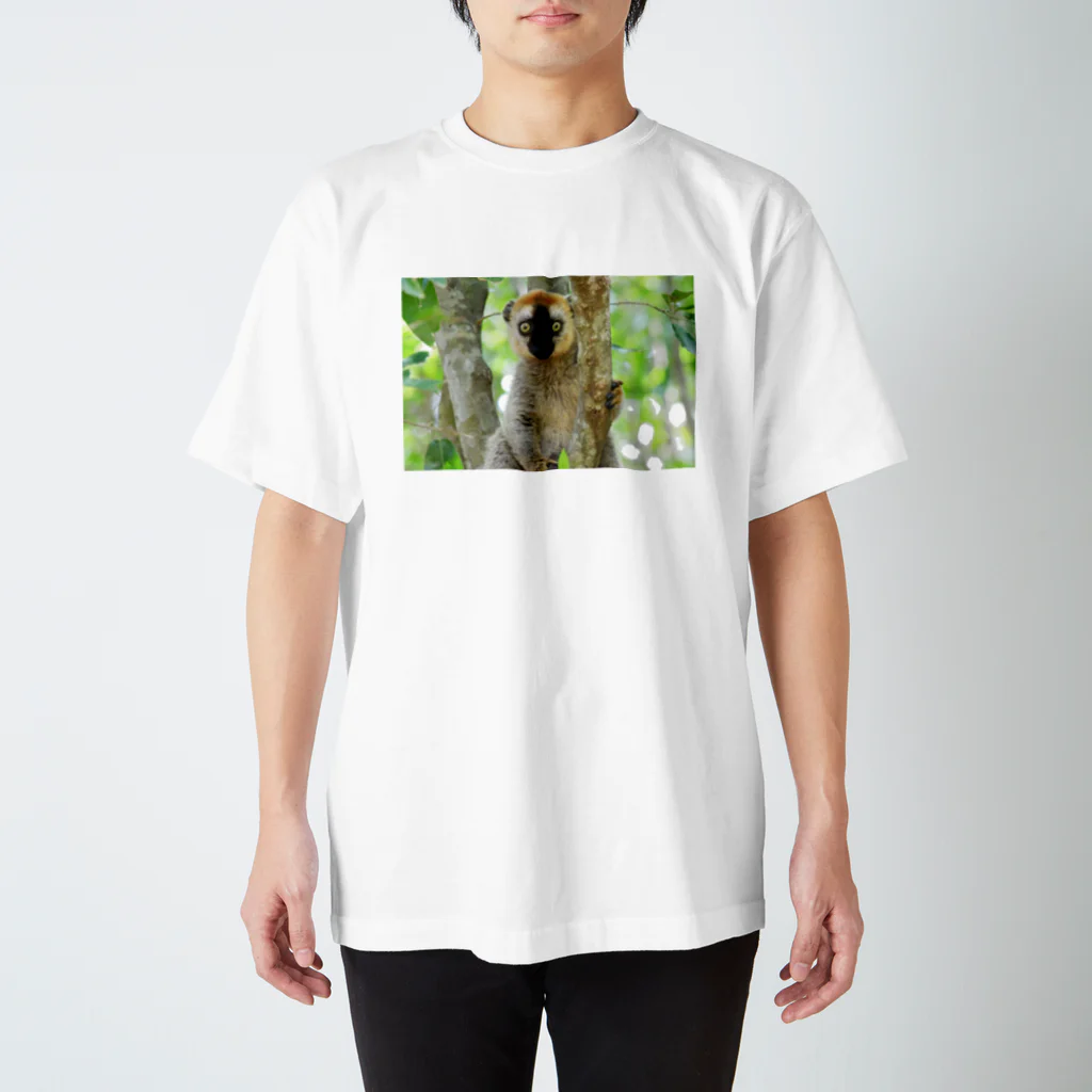 よこぴーなっつのlemurちゃん。 スタンダードTシャツ