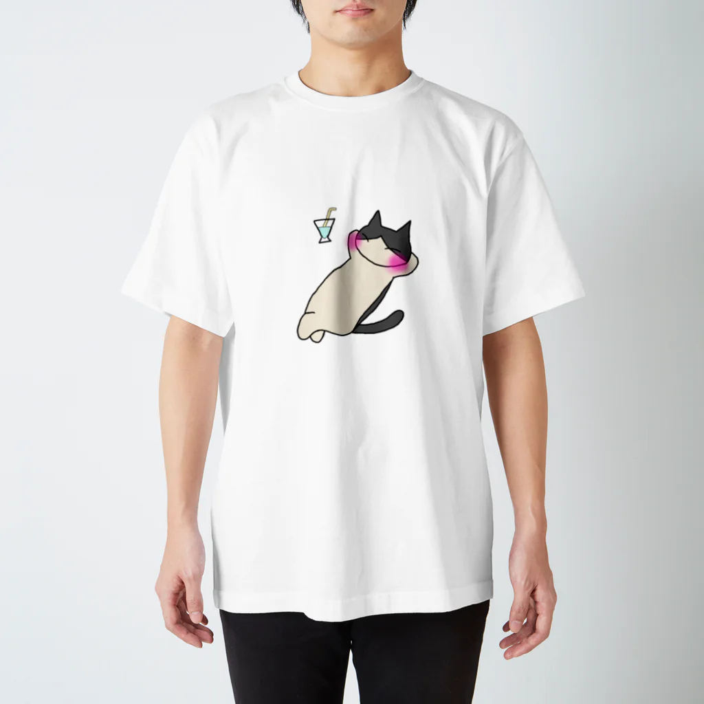 こるとのまたたびと日向ぼっこ Regular Fit T-Shirt