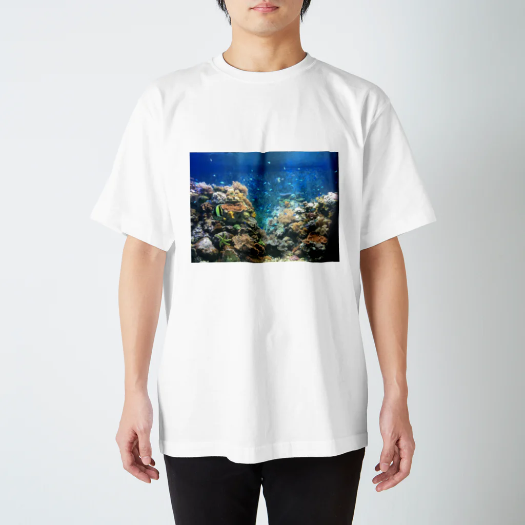 aqaの須磨水族館 スタンダードTシャツ