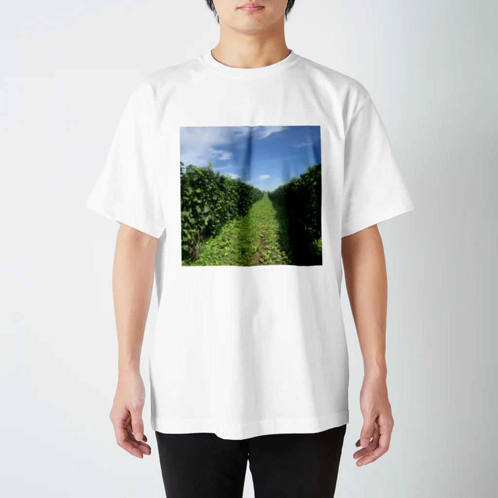 cocochanの葡萄畑ハンカチ Regular Fit T-Shirt