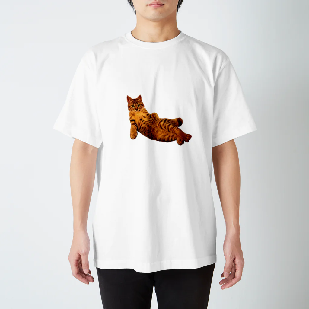 Elegant CatのElegant Cat ③ スタンダードTシャツ