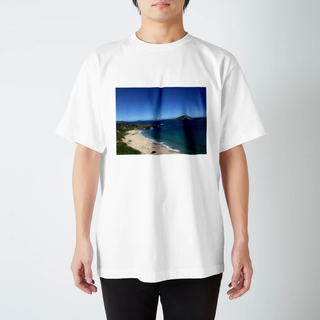 ayaieyohのHawaii🌴4 スタンダードTシャツ