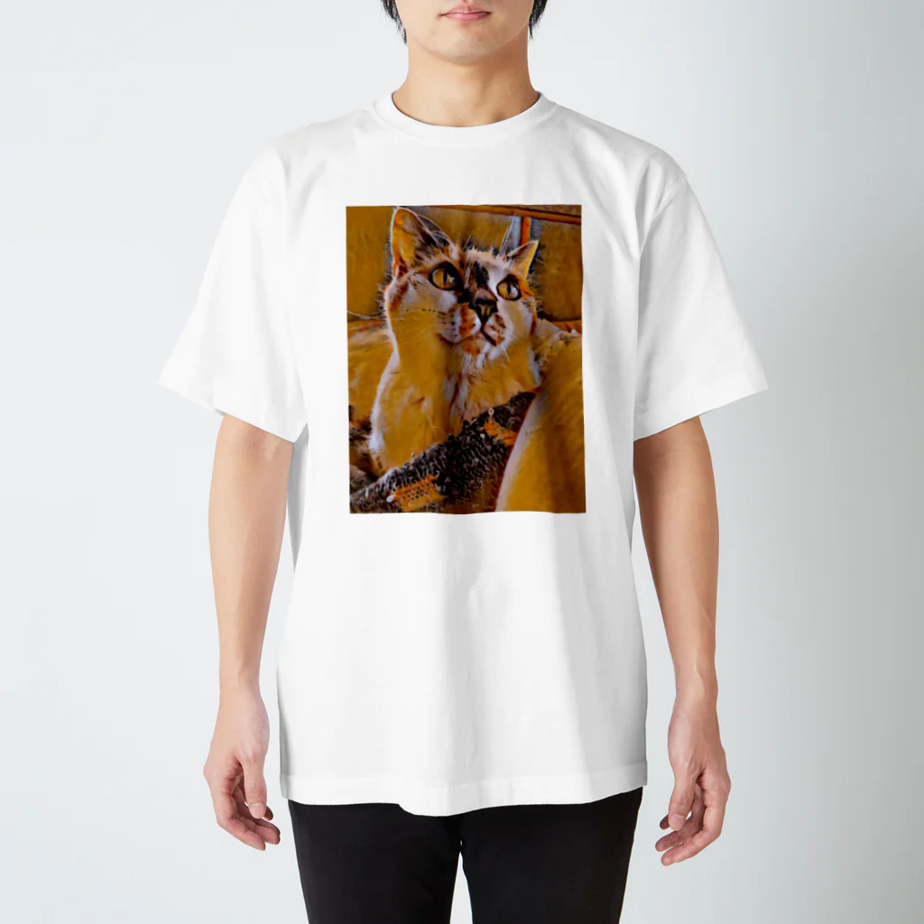 ゆかちゃぶのMy Sweet Cat Regular Fit T-Shirt