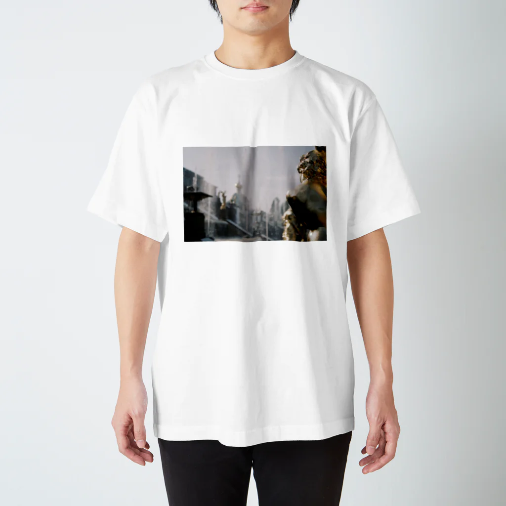 乾菓子の黄金の背中 Regular Fit T-Shirt