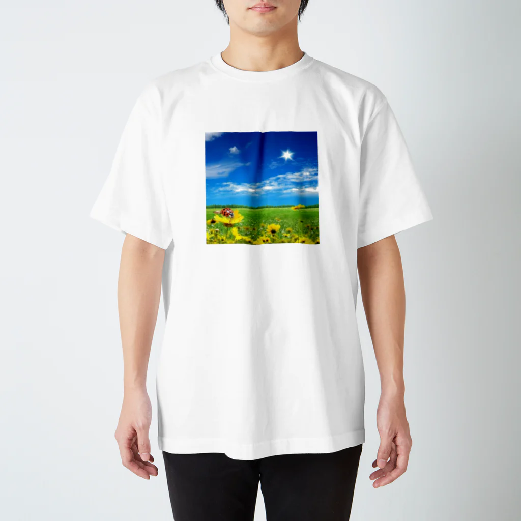 mitubatiのてんとう虫と空 スタンダードTシャツ