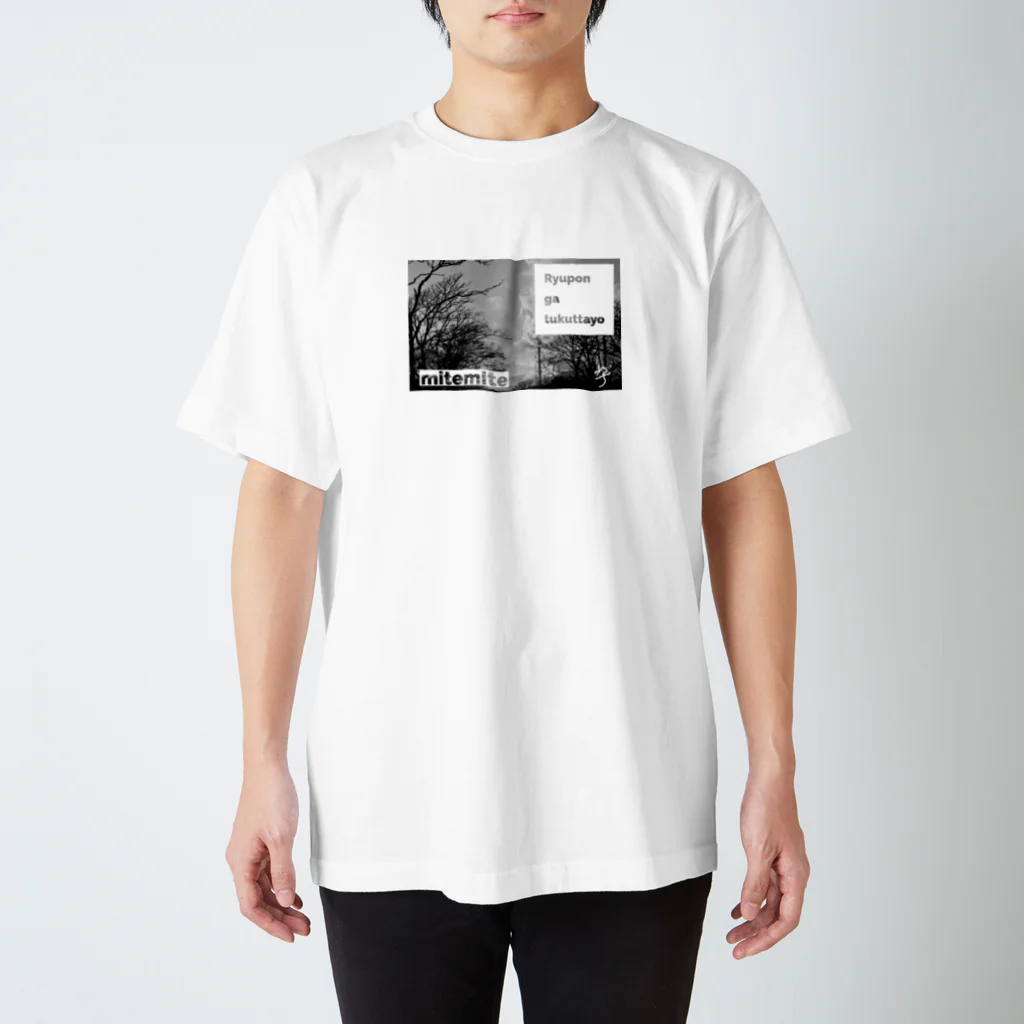 りゅーぽんの赤穂にて Regular Fit T-Shirt